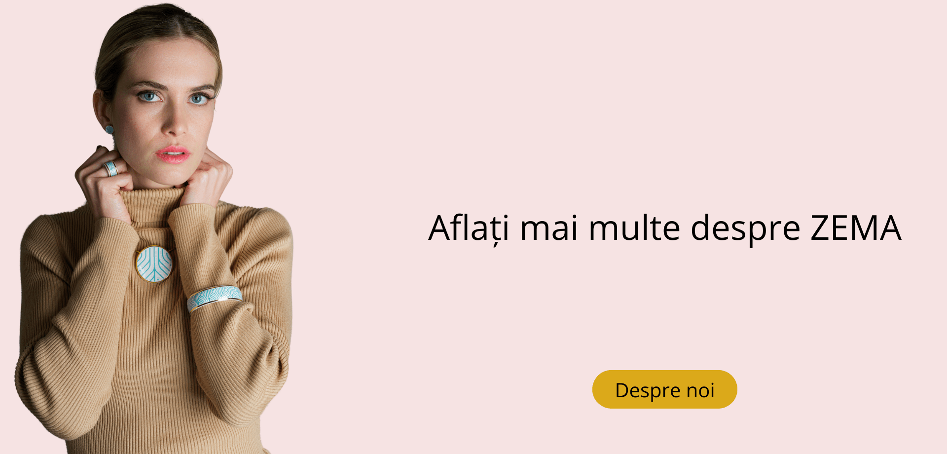 Aflați mai multe despre ZEMA